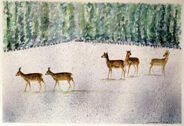 Deer in Snow